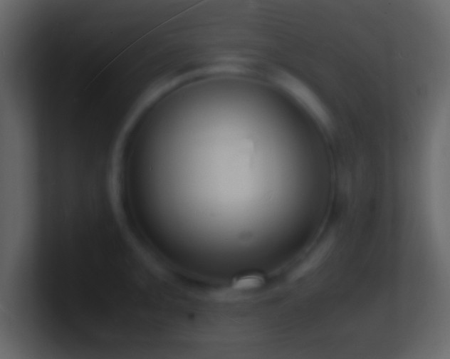 X0000101481093200807071458