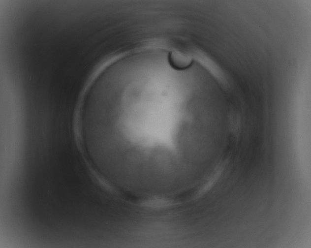 X0000101481094200807071458