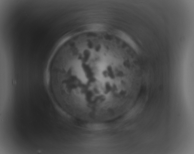 X0000101481095200807071458