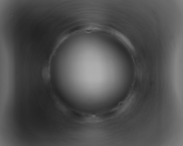 X0000101481097200807071458