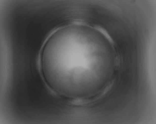 X0000101481098200807071458