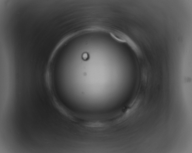 X0000101481100200807071458
