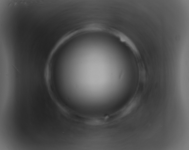 X0000101481101200807071458