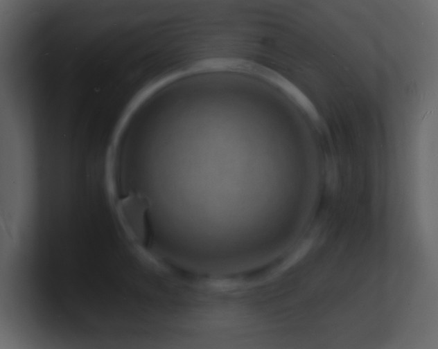 X0000101481102200807071458