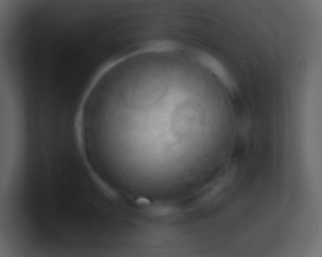 X0000101481103200807071458