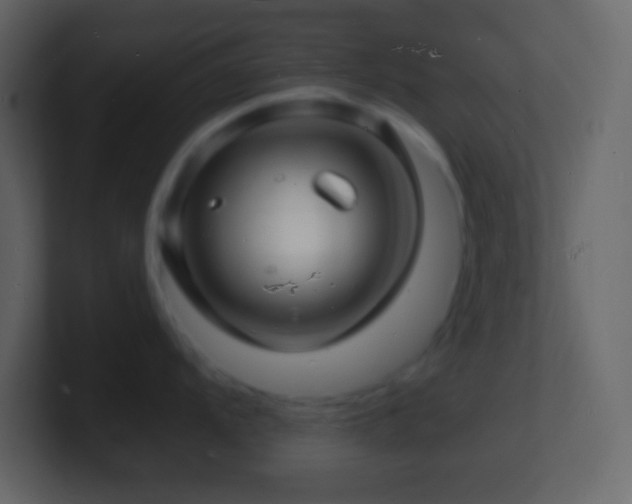 X0000101481104200807071458