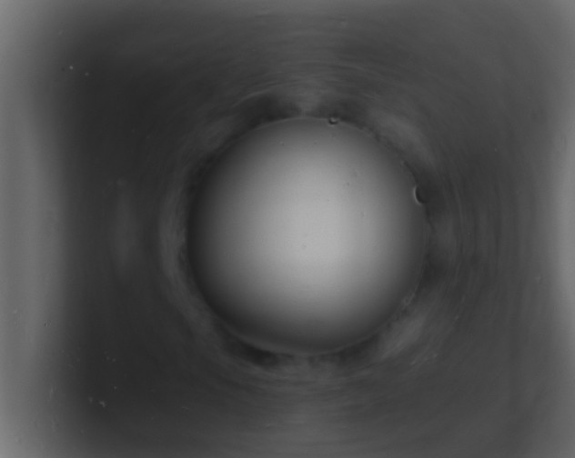 X0000101481105200807071458