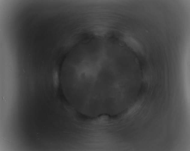 X0000101481106200807071458