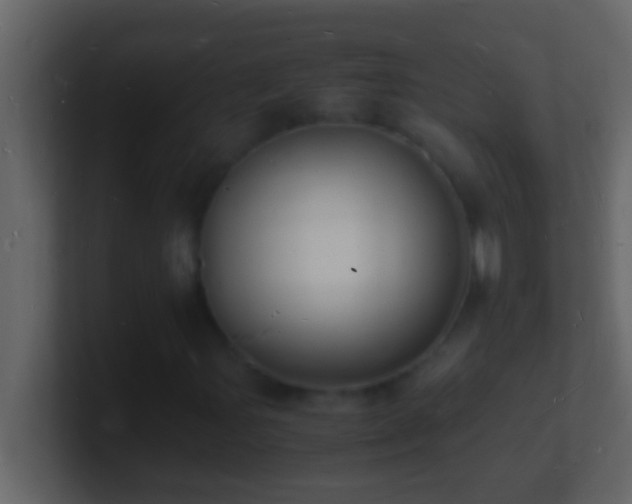 X0000101481107200807071458