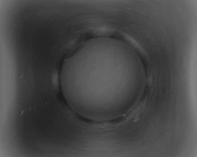 X0000101481108200807071458