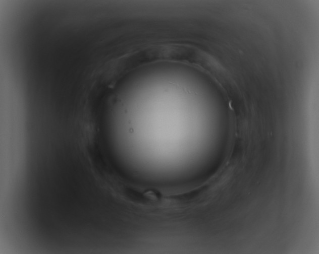 X0000101481109200807071458
