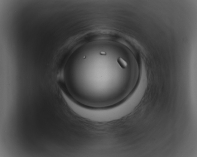 X0000101481110200807071458