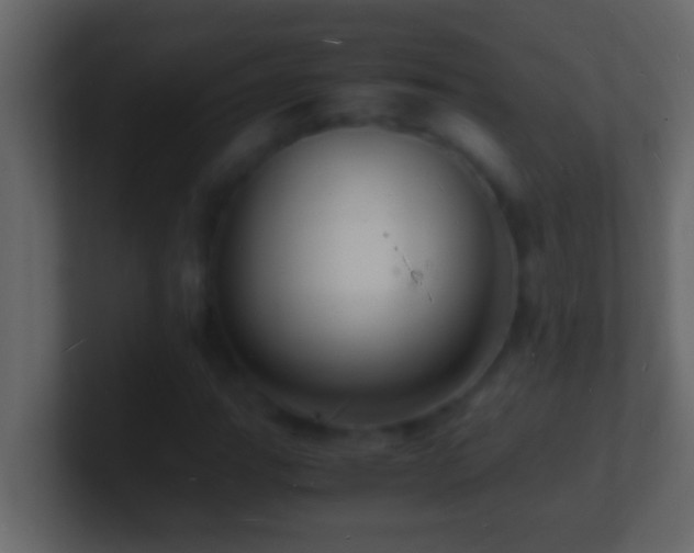 X0000101481111200807071458