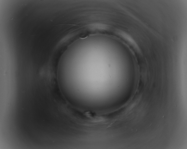 X0000101481112200807071458