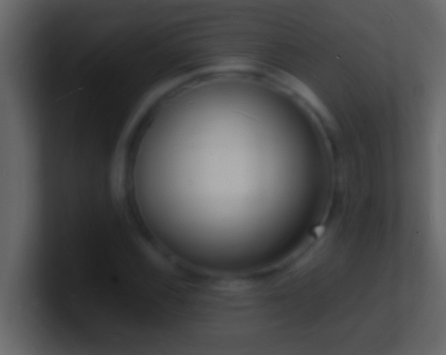 X0000101481116200807071458