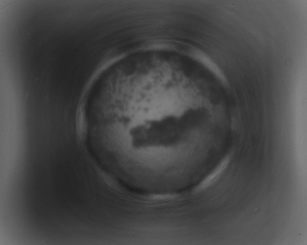 X0000101481117200807071458