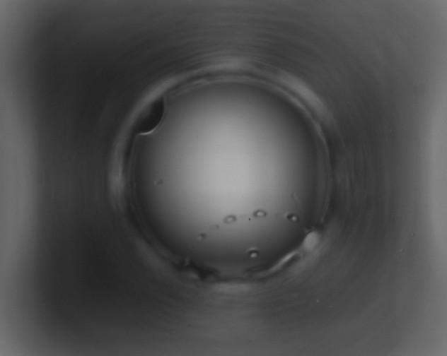 X0000101481118200807071458