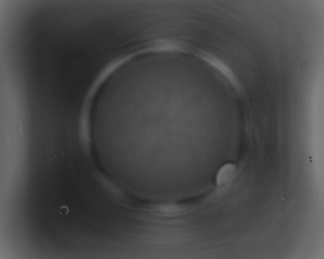 X0000101481120200807071458