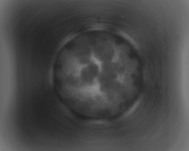 X0000101481121200807071458
