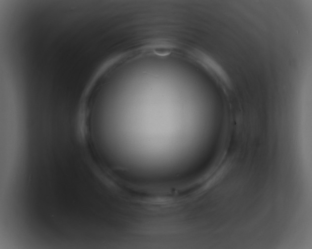 X0000101481124200807071458