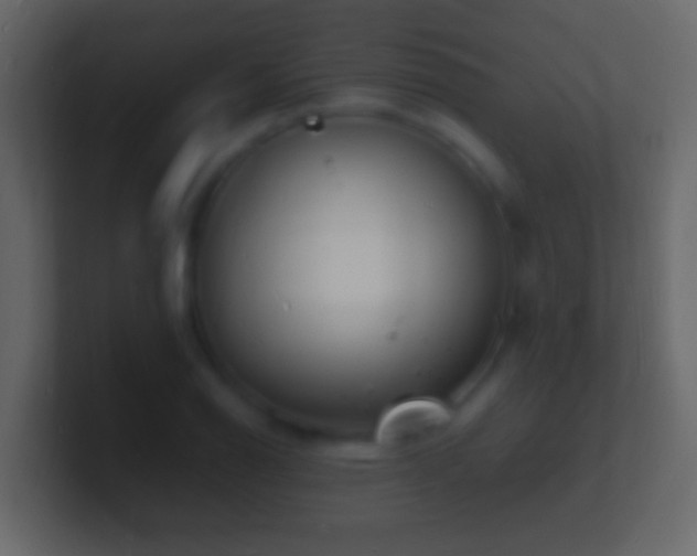X0000101481126200807071458
