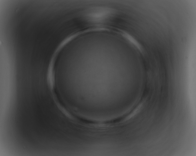 X0000101481127200807071458
