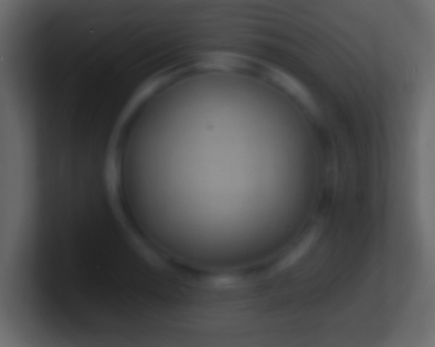 X0000101481130200807071458