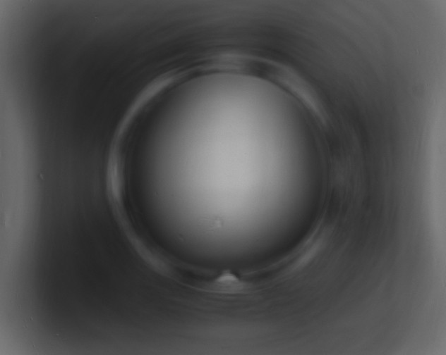 X0000101481131200807071458