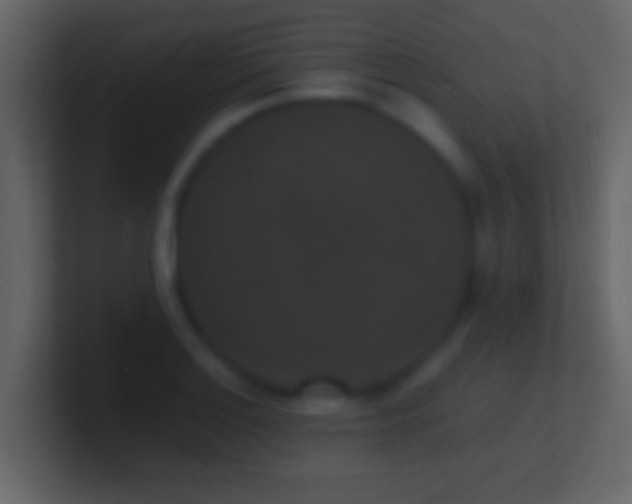 X0000101481132200807071458