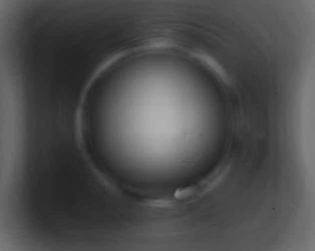 X0000101481134200807071458