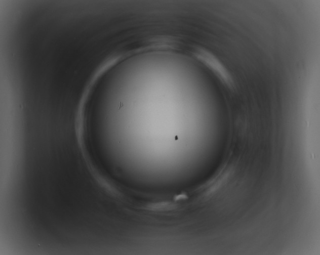 X0000101481135200807071458