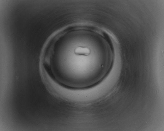 X0000101481136200807071458