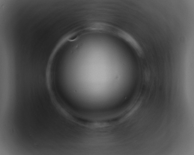 X0000101481138200807071458