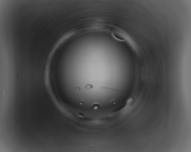 X0000101481139200807071458
