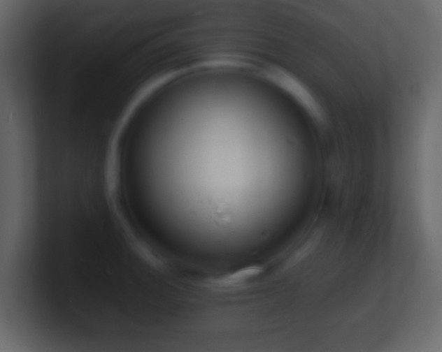 X0000101481140200807071458