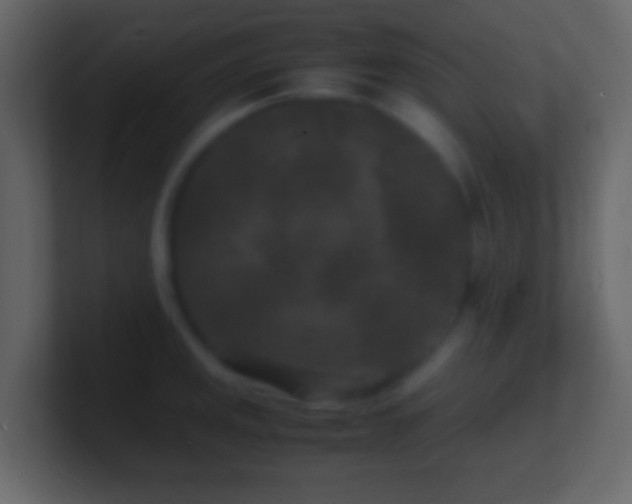 X0000101481141200807071458