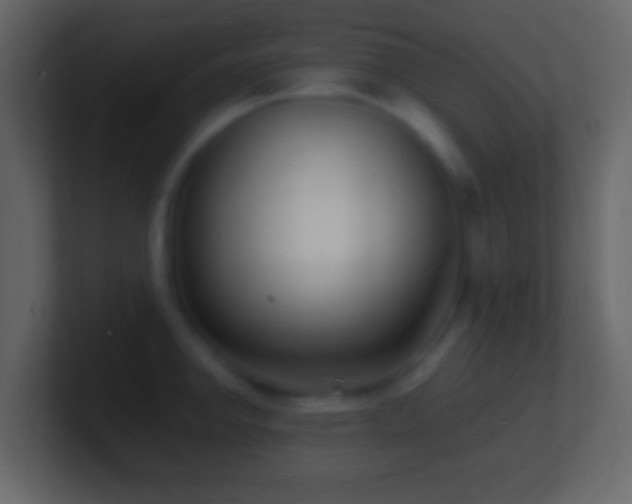 X0000101481142200807071458