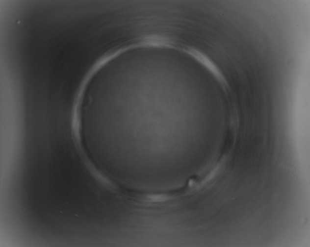 X0000101481144200807071458
