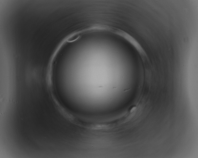 X0000101481148200807071458