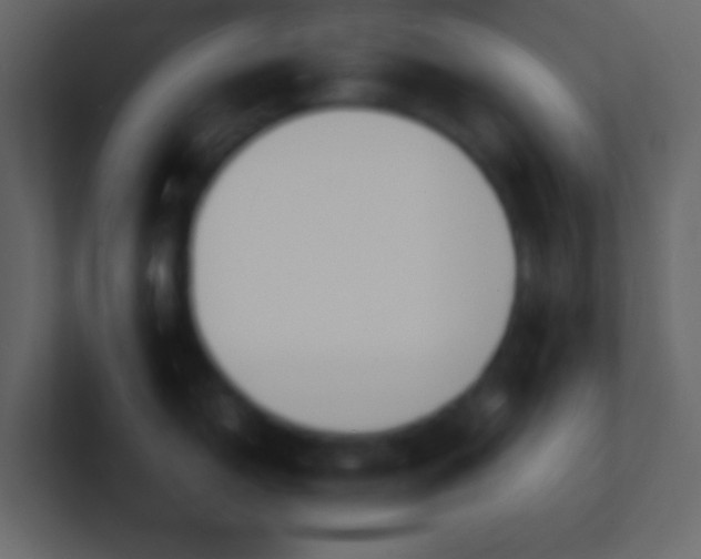 X0000101481150200807071458