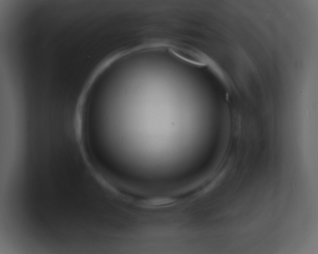 X0000101481151200807071458