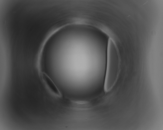 X0000101481152200807071458