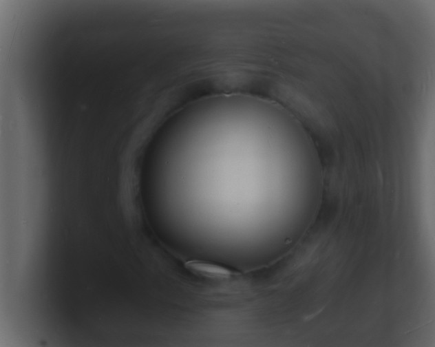 X0000101481153200807071458