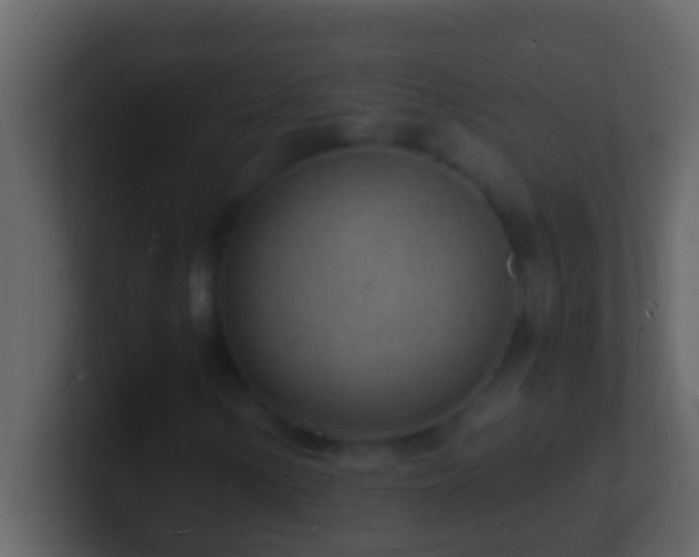 X0000101481154200807071458