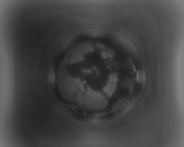 X0000101481155200807071458