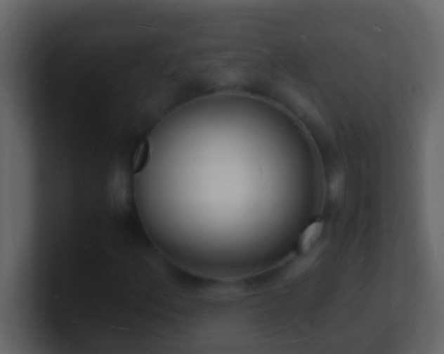 X0000101481156200807071458