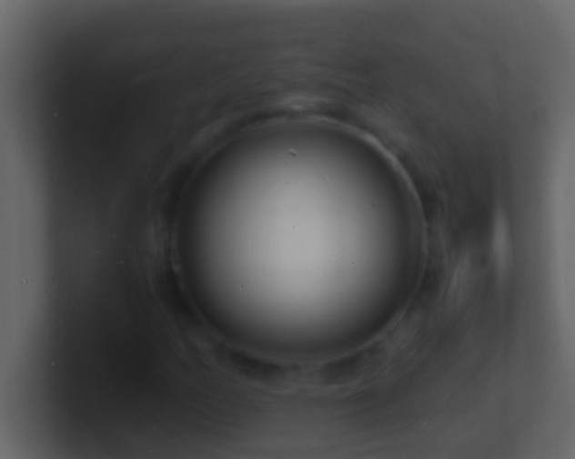 X0000101481158200807071458