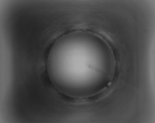 X0000101481159200807071458