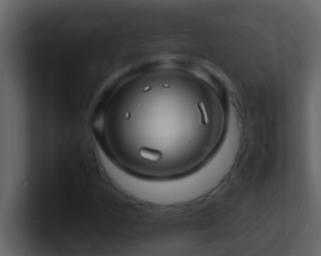 X0000101481160200807071458