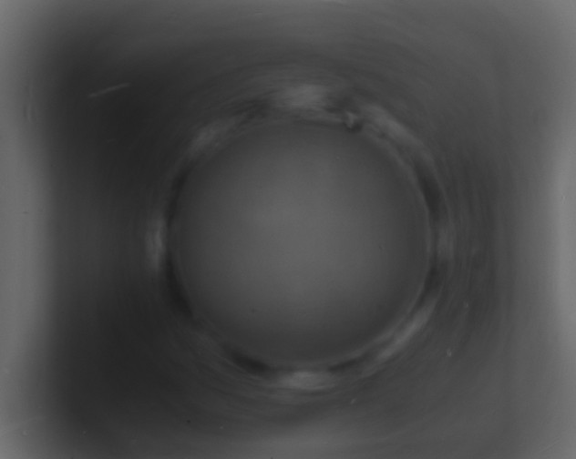X0000101481161200807071458